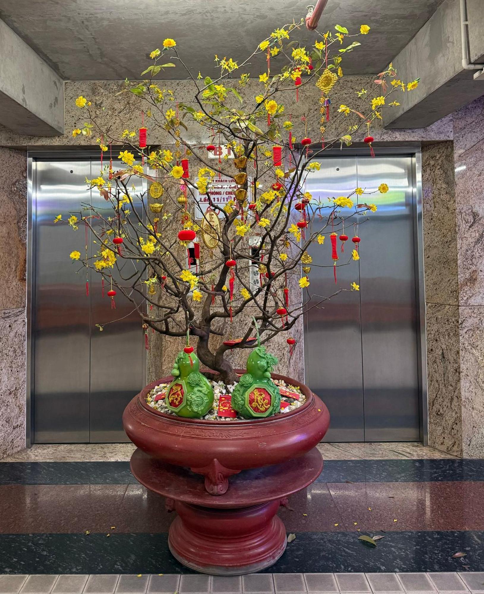 Thien Tai Hotel Ho Chi Minh City Bagian luar foto